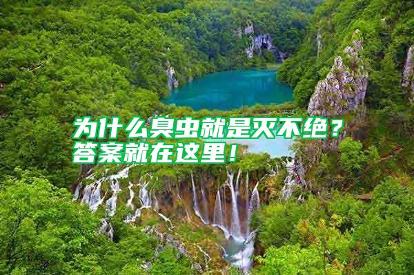 為什么臭蟲就是滅不絕？答案就在這里！