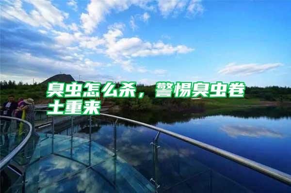 臭蟲怎么殺，警惕臭蟲卷土重來