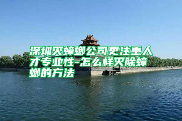 深圳滅蟑螂公司更注重人才專業性-怎么樣滅除蟑螂的方法