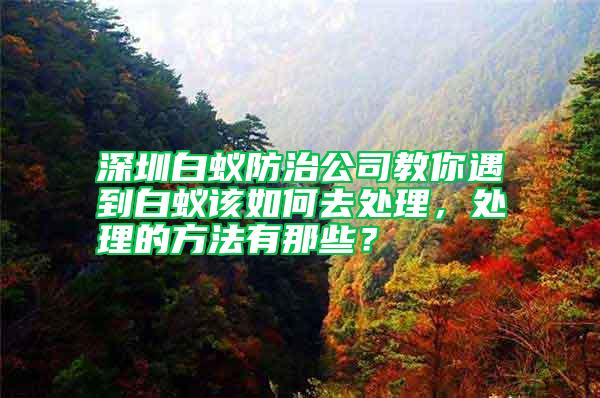 深圳白蟻防治公司教你遇到白蟻該如何去處理,處理的方法有那些?