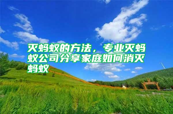滅螞蟻的方法,專業滅螞蟻公司分享家庭如何消滅螞蟻