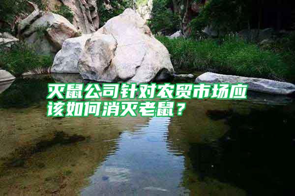 滅鼠公司針對農貿市場應該如何消滅老鼠？