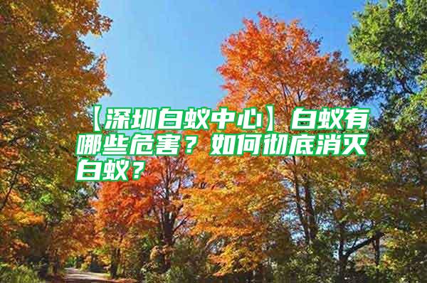 【深圳白蟻中心】白蟻有哪些危害？如何徹底消滅白蟻？