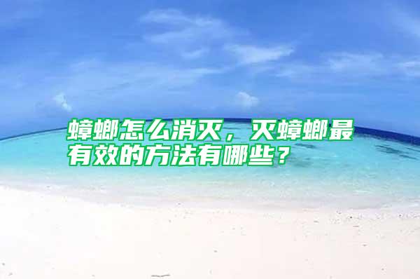 蟑螂怎么消滅，滅蟑螂最有效的方法有哪些？