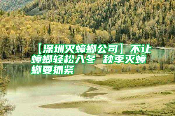 【深圳滅蟑螂公司】不讓蟑螂輕松入冬 秋季滅蟑螂要抓緊