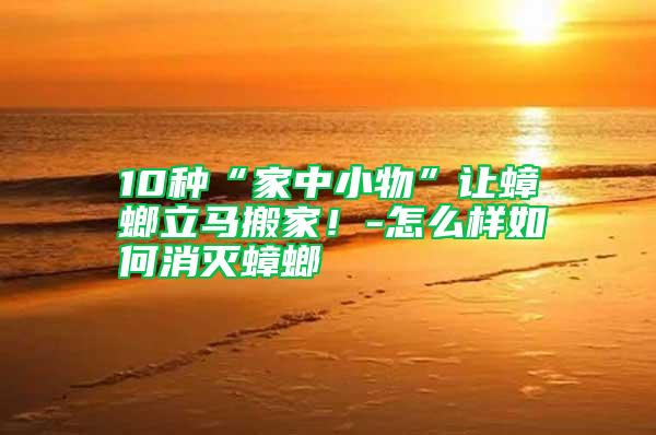 10種“家中小物”讓蟑螂立馬搬家!-怎么樣如何消滅蟑螂