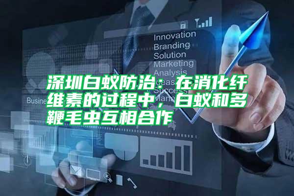 深圳白蟻防治:在消化纖維素的過程中,白蟻和多鞭毛蟲互相合作