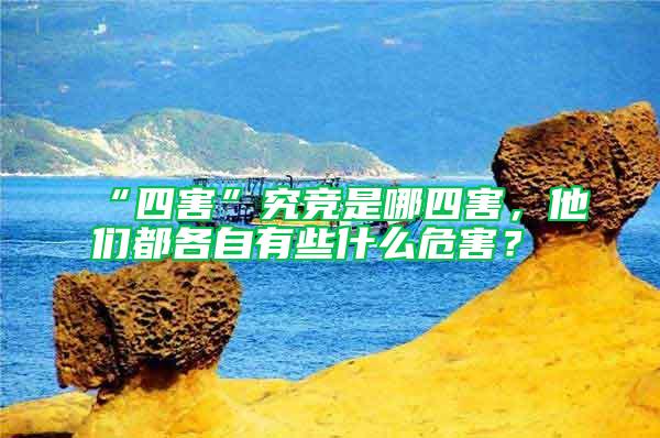 “四害”究競是哪四害,他們都各自有些什么危害?