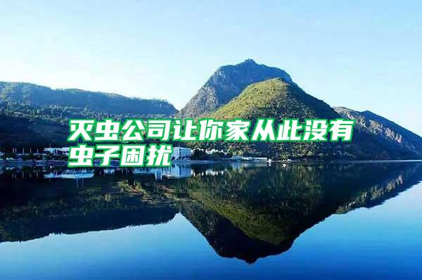 滅蟲公司讓你家從此沒有蟲子困擾