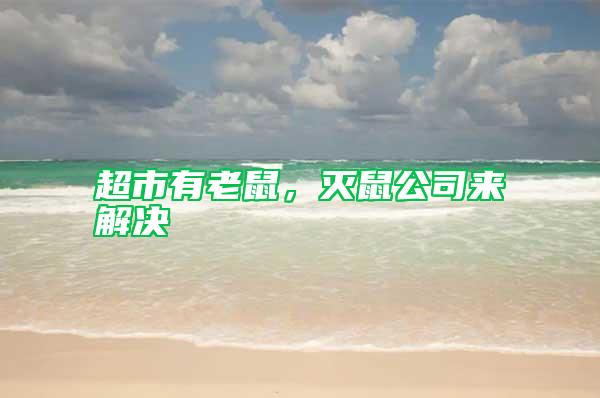 超市有老鼠，滅鼠公司來(lái)解決