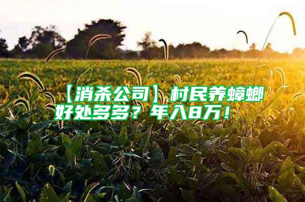 【消殺公司】村民養(yǎng)蟑螂好處多多?年入8萬!