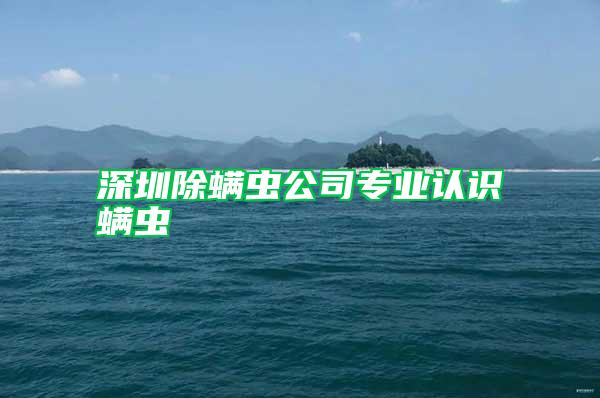 深圳除螨蟲公司專業(yè)認(rèn)識螨蟲