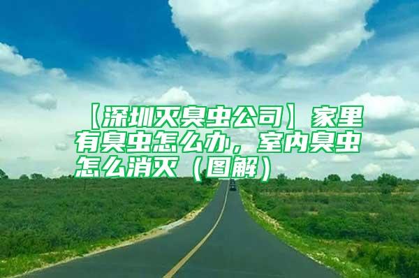 【深圳滅臭蟲公司】家里有臭蟲怎么辦，室內臭蟲怎么消滅（圖解）