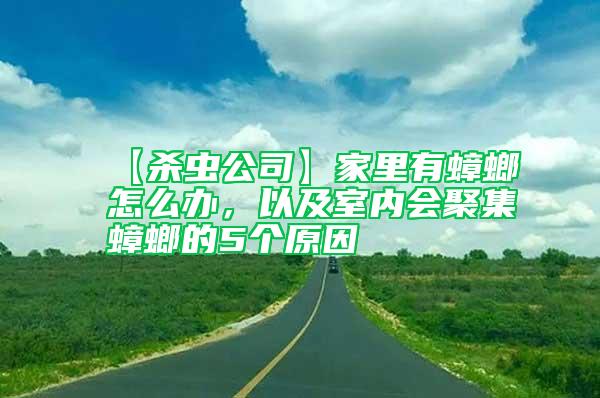【殺蟲公司】家里有蟑螂怎么辦，以及室內(nèi)會(huì)聚集蟑螂的5個(gè)原因