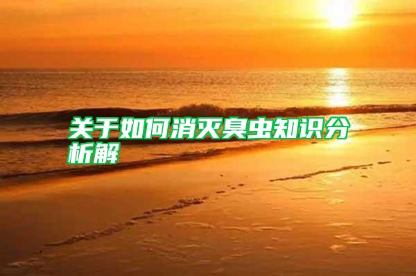 關于如何消滅臭蟲知識分析解