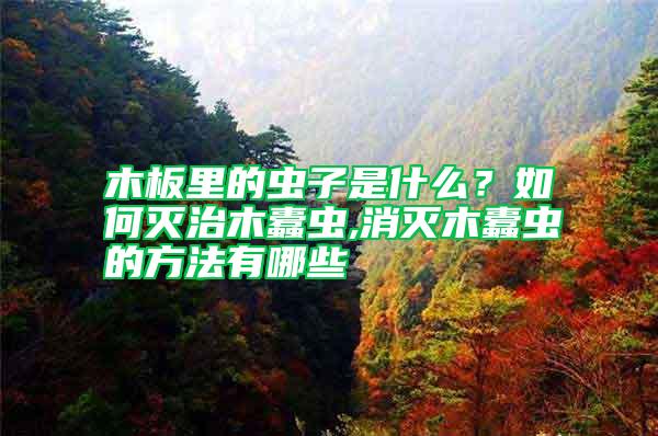 木板里的蟲子是什么？如何滅治木蠹蟲,消滅木蠹蟲的方法有哪些