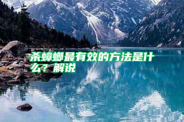 殺蟑螂最有效的方法是什么?解說