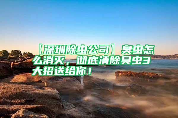 【深圳除蟲公司】臭蟲怎么消滅,徹底清除臭蟲3大招送給你!