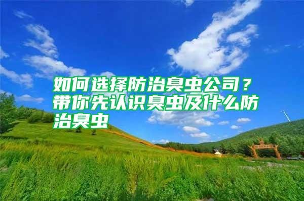 如何選擇防治臭蟲公司?帶你先認識臭蟲及什么防治臭蟲