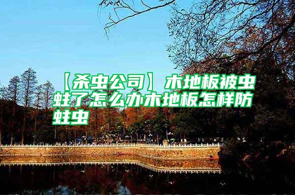 【殺蟲(chóng)公司】木地板被蟲(chóng)蛀了怎么辦木地板怎樣防蛀蟲(chóng)