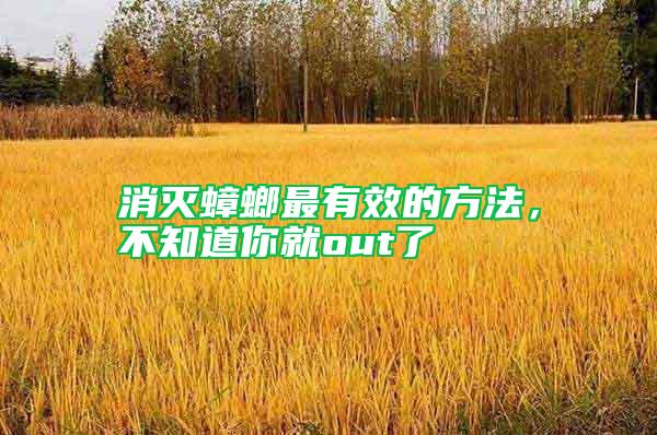 消滅蟑螂最有效的方法,不知道你就out了