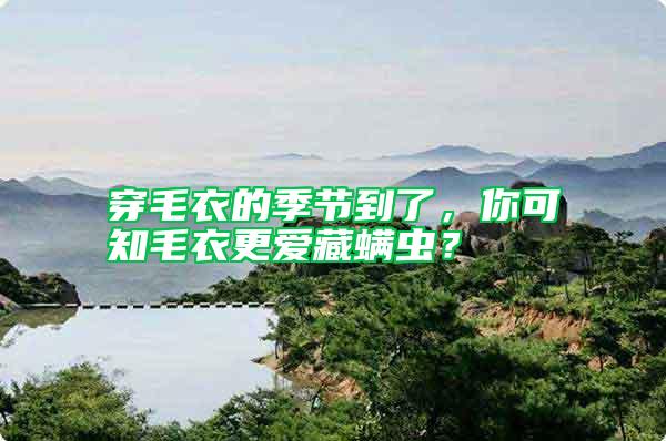 穿毛衣的季節到了，你可知毛衣更愛藏螨蟲？