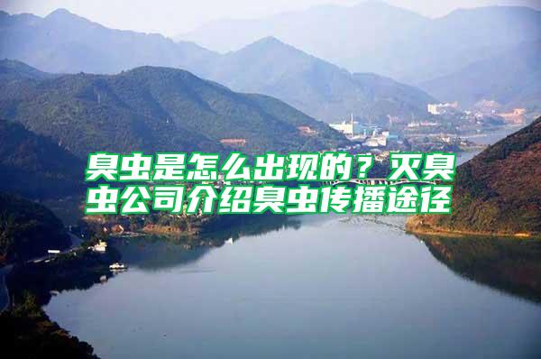 臭蟲是怎么出現(xiàn)的？滅臭蟲公司介紹臭蟲傳播途徑