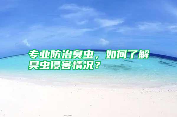 專業防治臭蟲，如何了解臭蟲侵害情況？