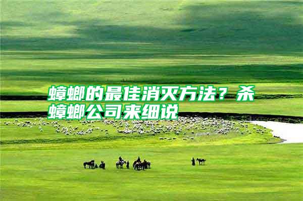 蟑螂的最佳消滅方法？殺蟑螂公司來細說