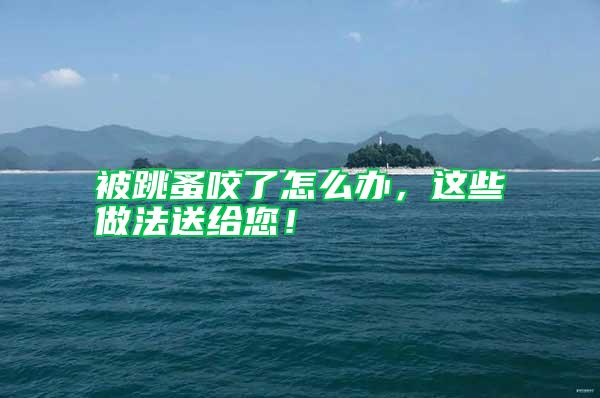 被跳蚤咬了怎么辦,這些做法送給您!