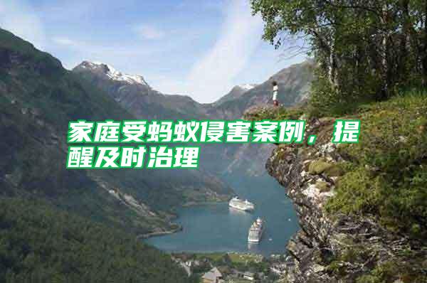 家庭受螞蟻侵害案例,提醒及時治理