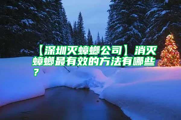 【深圳滅蟑螂公司】消滅蟑螂最有效的方法有哪些？