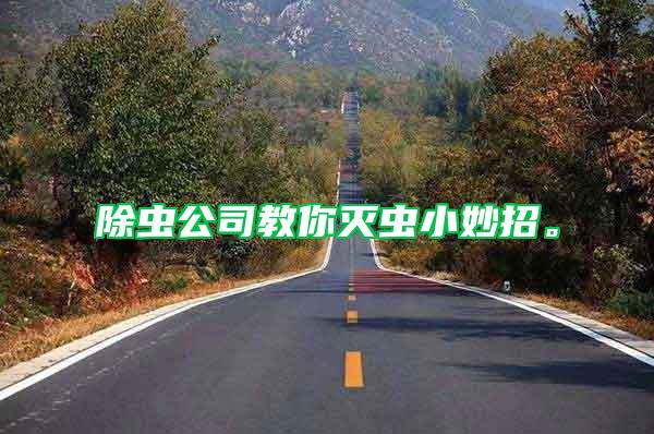 除蟲公司教你滅蟲小妙招。