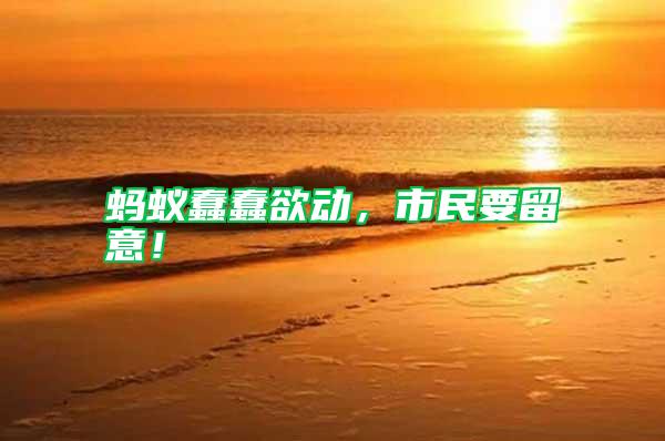 螞蟻蠢蠢欲動,市民要留意!