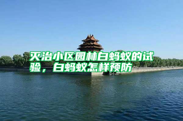 滅治小區園林白螞蟻的試驗，白螞蟻怎樣預防