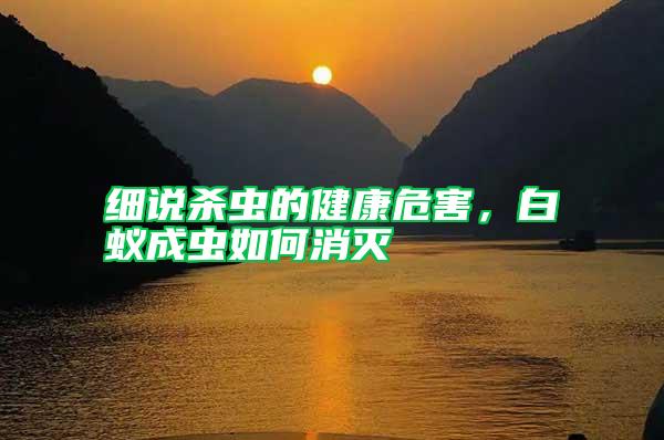 細說殺蟲的健康危害,白蟻成蟲如何消滅