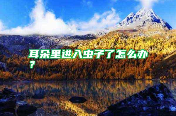 耳朵里進(jìn)入蟲子了怎么辦?