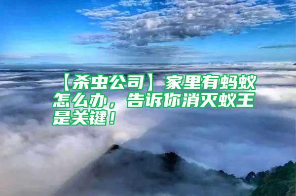 【殺蟲公司】家里有螞蟻怎么辦,告訴你消滅蟻王是關鍵!