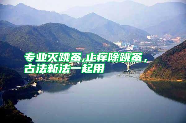 專業(yè)滅跳蚤,止癢除跳蚤, 古法新法一起用