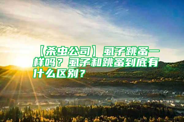 【殺蟲公司】虱子跳蚤一樣嗎?虱子和跳蚤到底有什么區別?