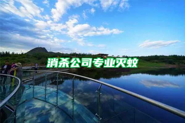 消殺公司專(zhuān)業(yè)滅蚊