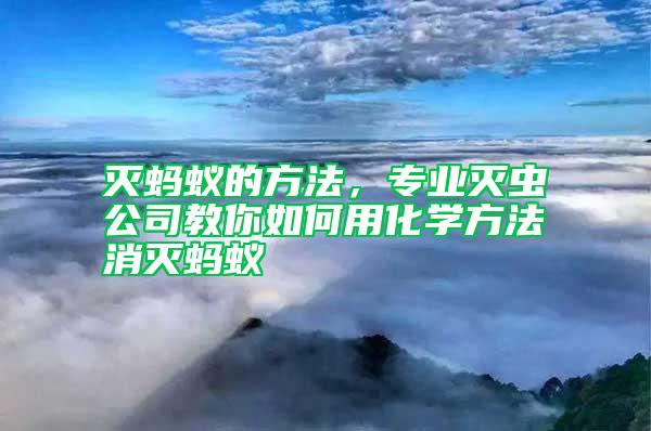 滅螞蟻的方法，專業滅蟲公司教你如何用化學方法消滅螞蟻