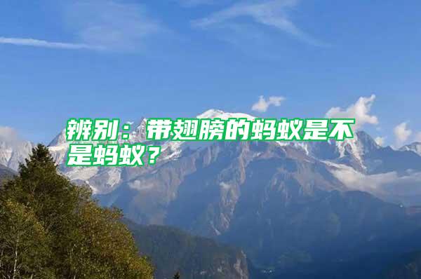 辨別:帶翅膀的螞蟻是不是螞蟻?