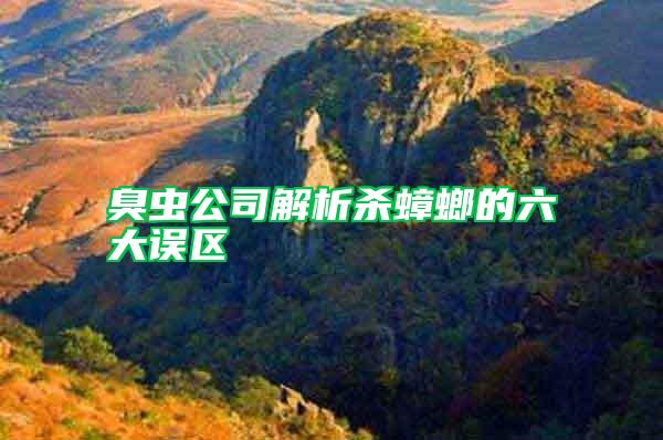 臭蟲公司解析殺蟑螂的六大誤區