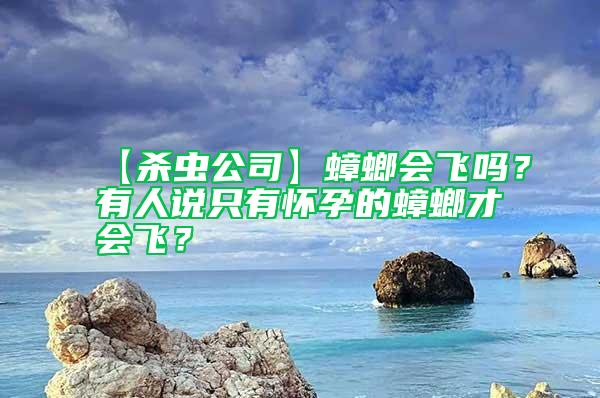 【殺蟲公司】蟑螂會(huì)飛嗎?有人說只有懷孕的蟑螂才會(huì)飛?