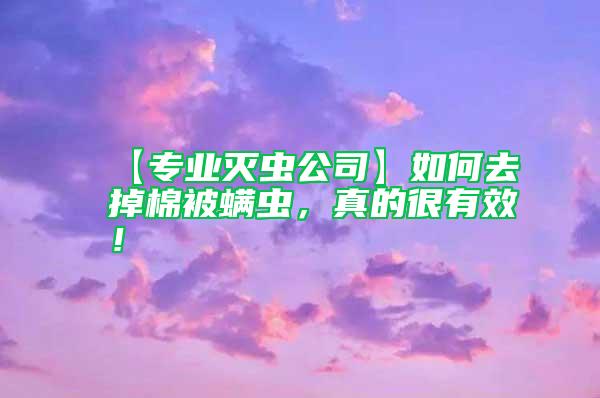 【專業(yè)滅蟲公司】如何去掉棉被螨蟲,真的很有效!