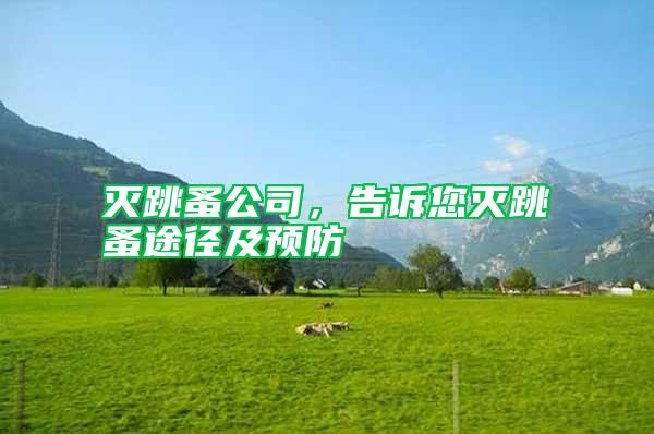 滅跳蚤公司,告訴您滅跳蚤途徑及預(yù)防