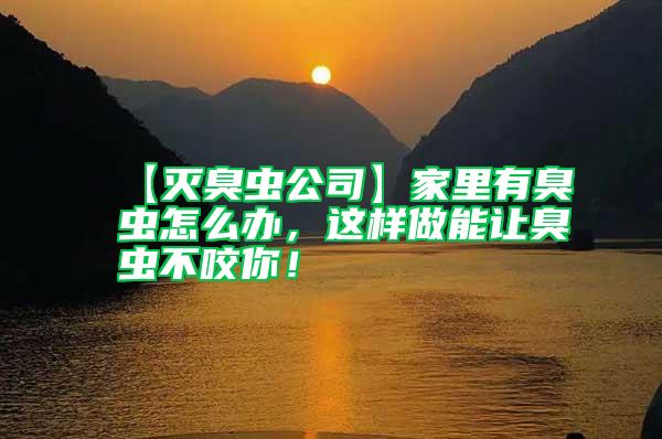 【滅臭蟲公司】家里有臭蟲怎么辦，這樣做能讓臭蟲不咬你！