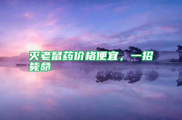 滅老鼠藥價格便宜，一招斃命