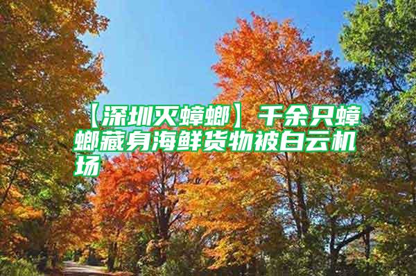 【深圳滅蟑螂】千余只蟑螂藏身海鮮貨物被白云機場